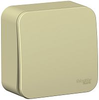 Выключатель кнопочный накладной Systeme Electric Blanca 1-кл. бежевый картинка